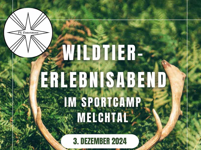 FGE-Wildtier-Erlebnisabend-Anzeige-2024-12-03